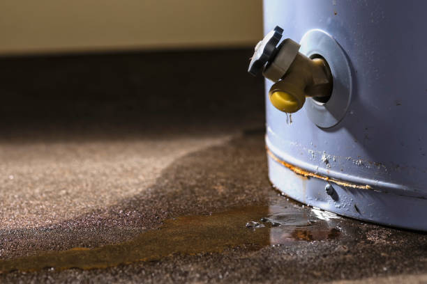 Best Flooded house restoration  in Ferrysburg, MI