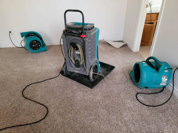 Professional Water damage restoration in Ferrysburg, MI