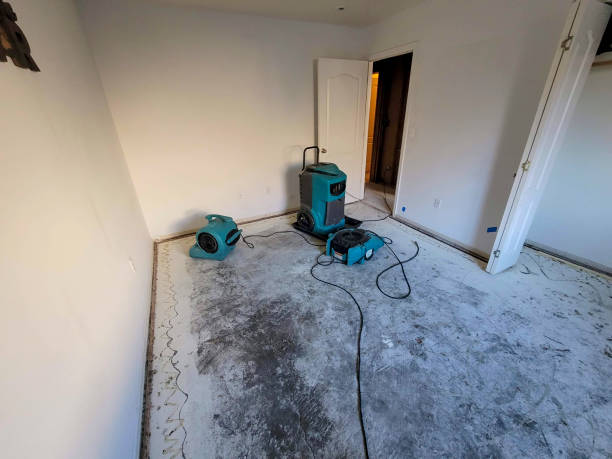 Best Ceiling water damage repair  in Ferrysburg, MI