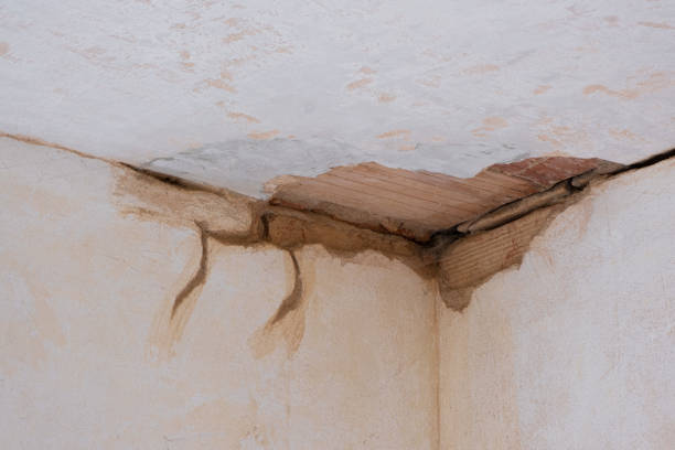 Water damage restoration mold remediation in Ferrysburg, MI