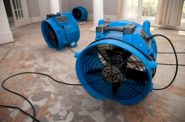 Best Professional water damage repair  in Ferrysburg, MI