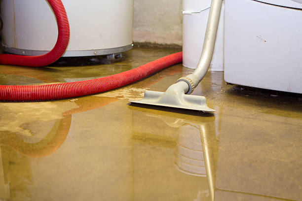 Best Fire Damage Restoration  in Ferrysburg, MI