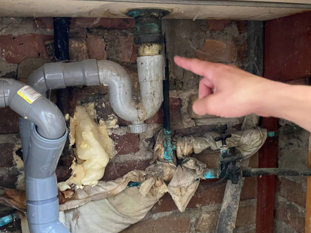 Best Water damage restoration mold remediation  in Ferrysburg, MI