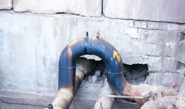 Best Basement water damage restoration  in Ferrysburg, MI