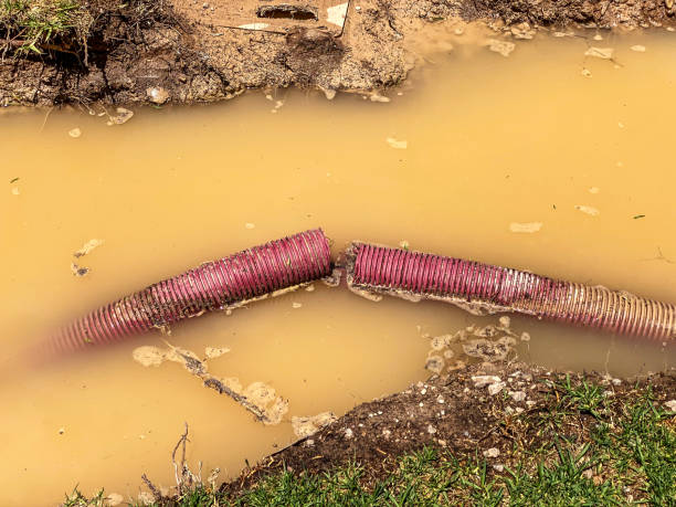 Best Emergency water damage restoration  in Ferrysburg, MI