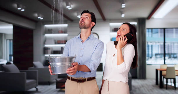 Best Flood restoration services  in Ferrysburg, MI