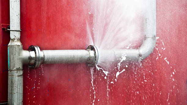 Best 24/7 water damage repair  in Ferrysburg, MI